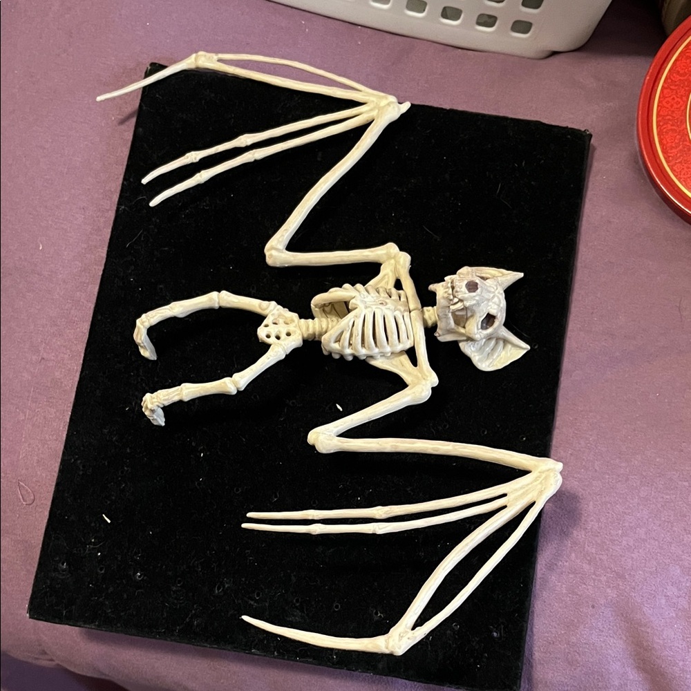 Natural Bat Skeleton Reptile Decor - Cream